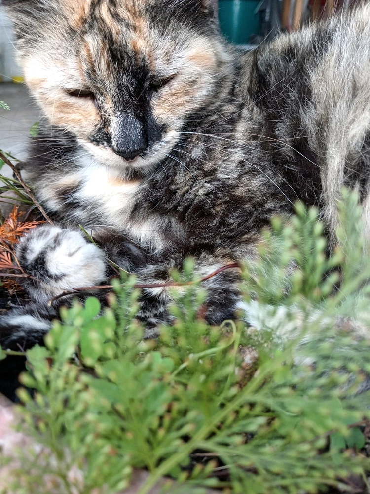 GIF subido por Eliel