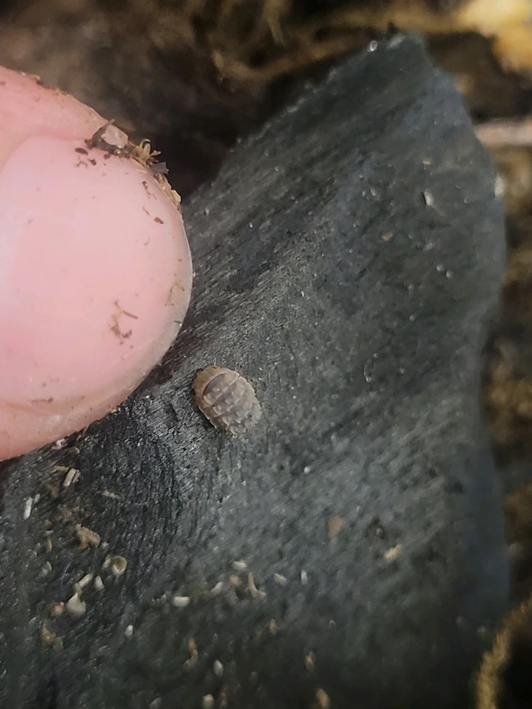GIF uploaded by Matthew Kobak