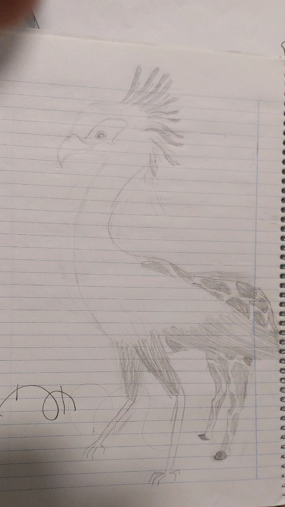 GIF uploaded by Roy grinberg