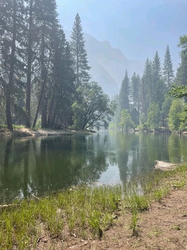 Image uploaded by Tessa