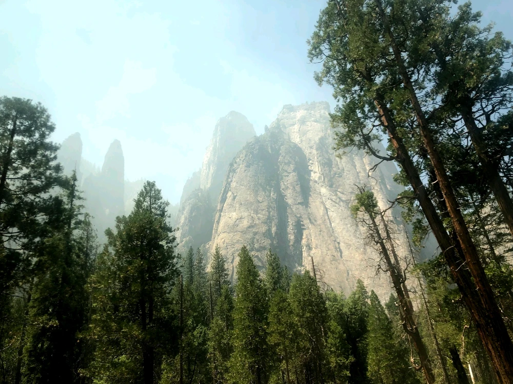 Image uploaded by Tessa