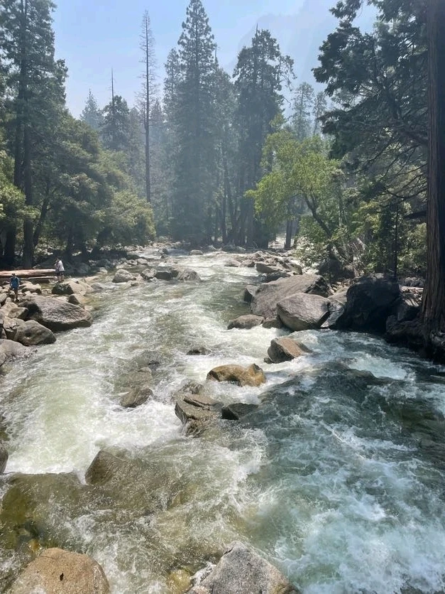 Image uploaded by Tessa