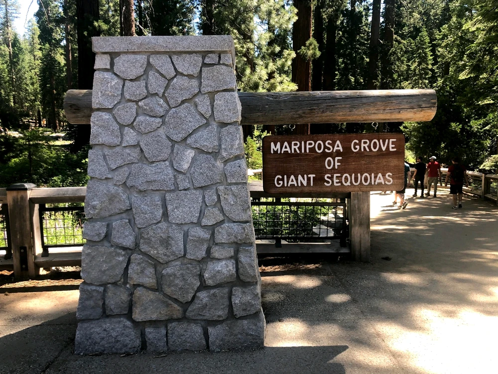 Image uploaded by Tessa