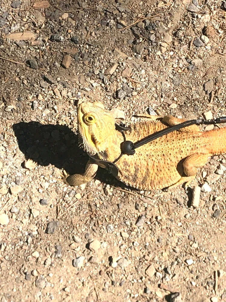 Image uploaded by Tessa