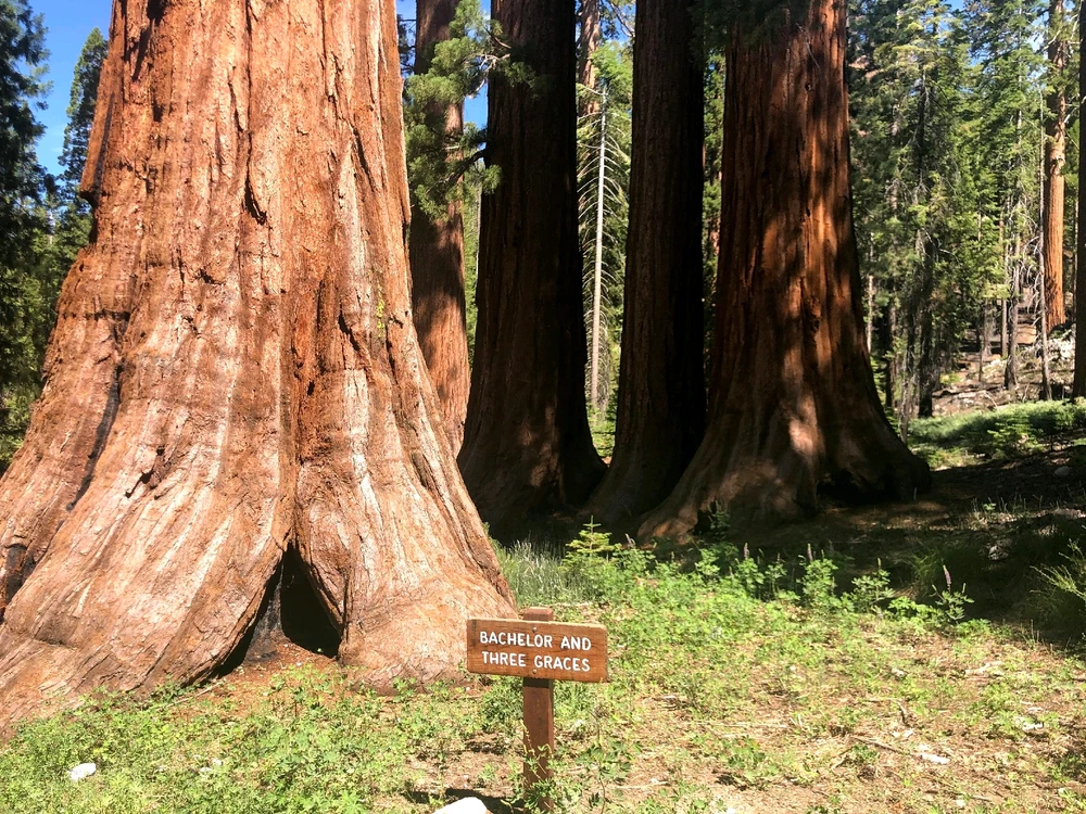 Image uploaded by Tessa