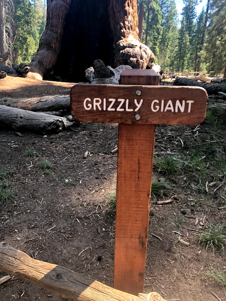 Image uploaded by Tessa