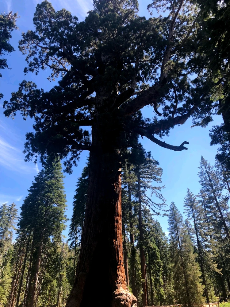 Image uploaded by Tessa