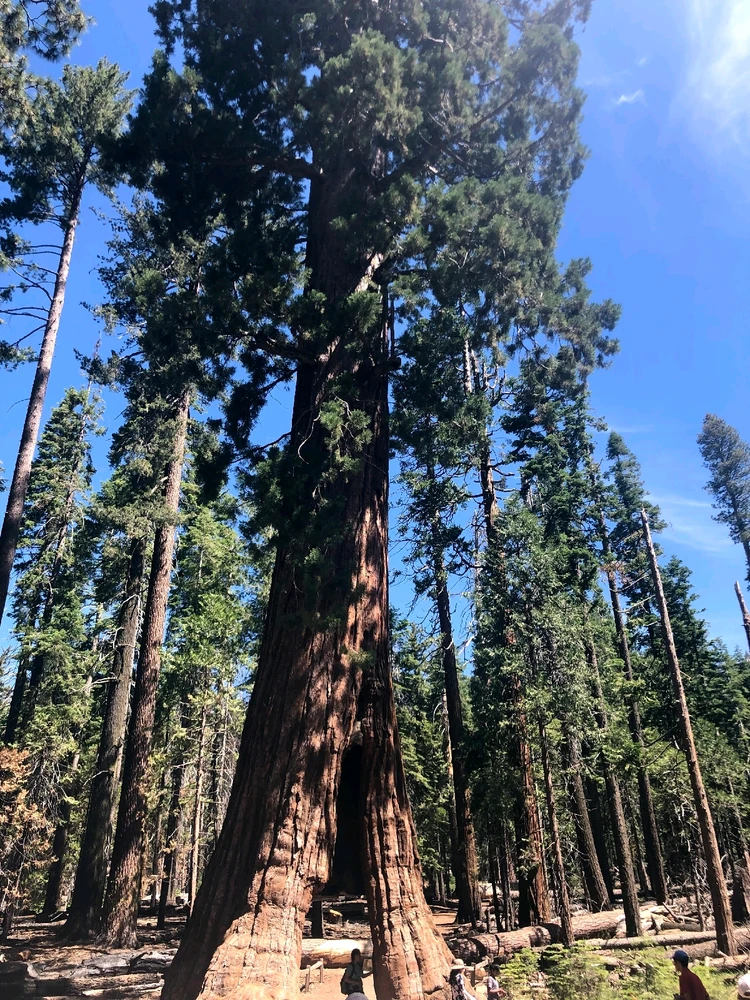 Image uploaded by Tessa