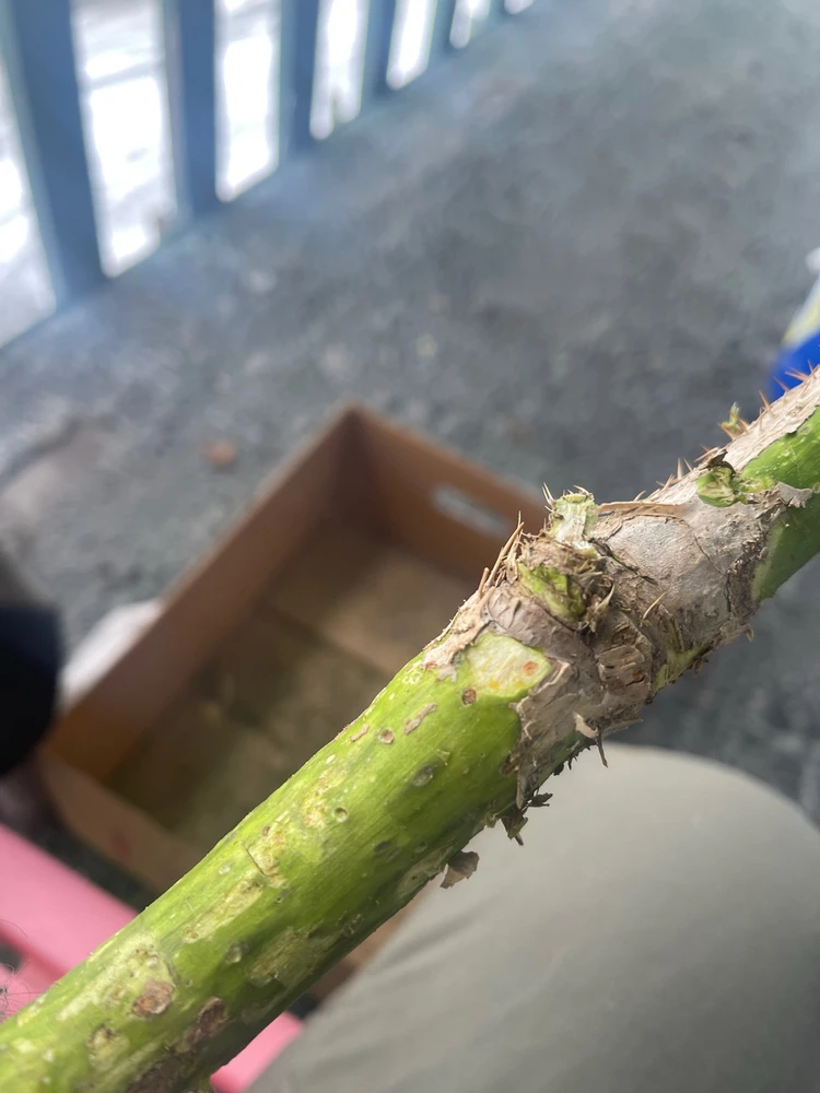 Image uploaded by Autumn