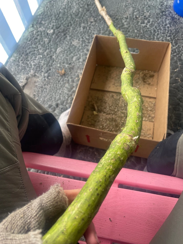 Image uploaded by Autumn