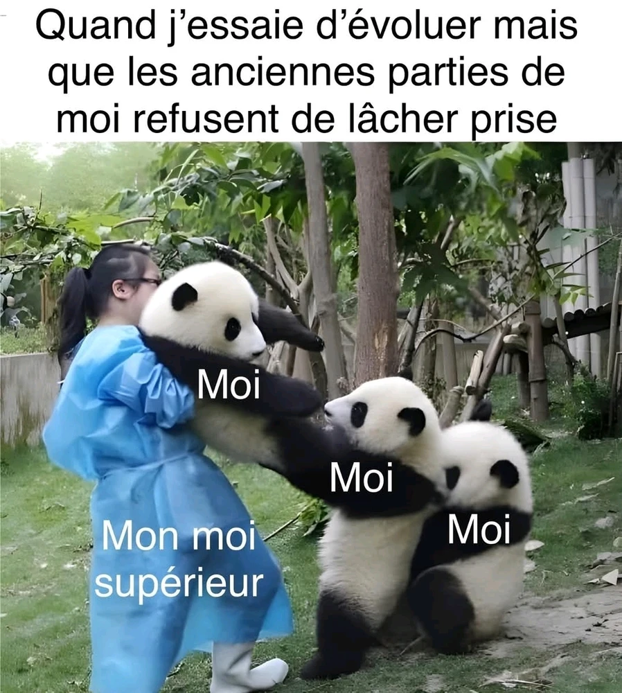 GIF ajouté par Lola