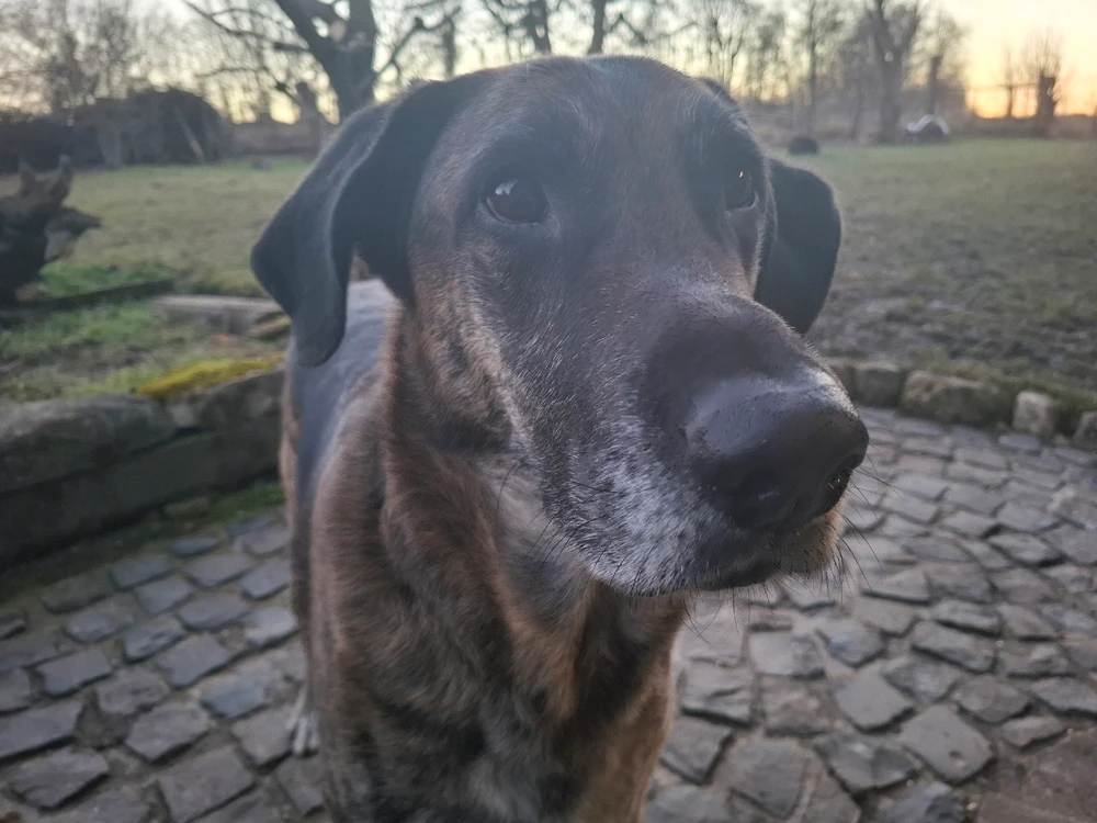 GIF hochgeladen von Svenja ☀️