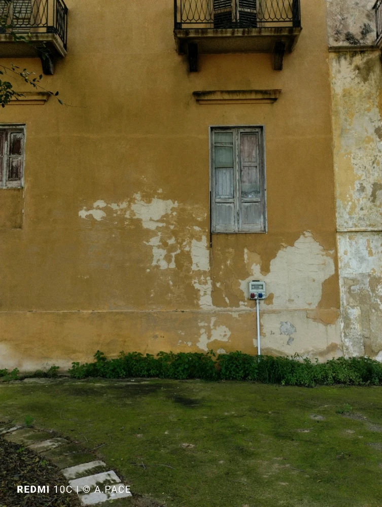 Immagine caricata da Alessandro | alpacigno