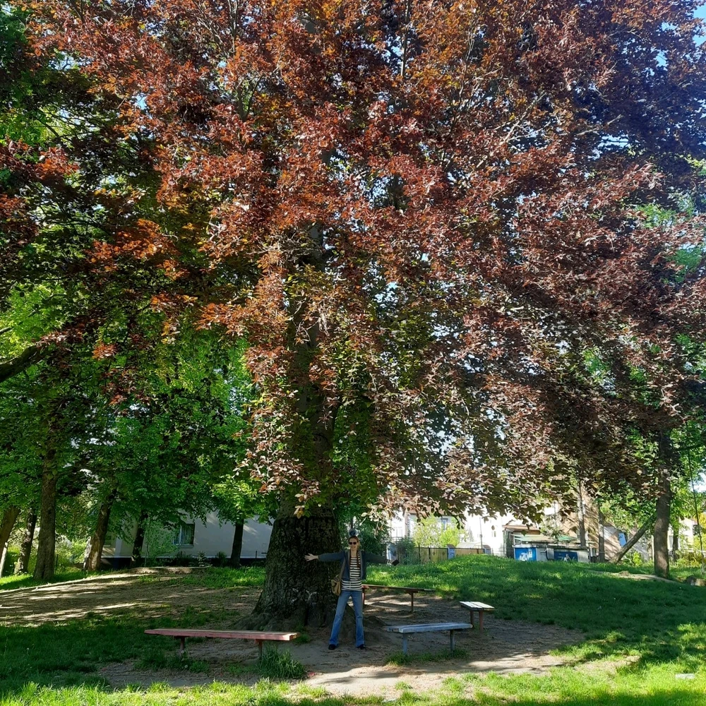 GIF sent inn af Ева (Eva)