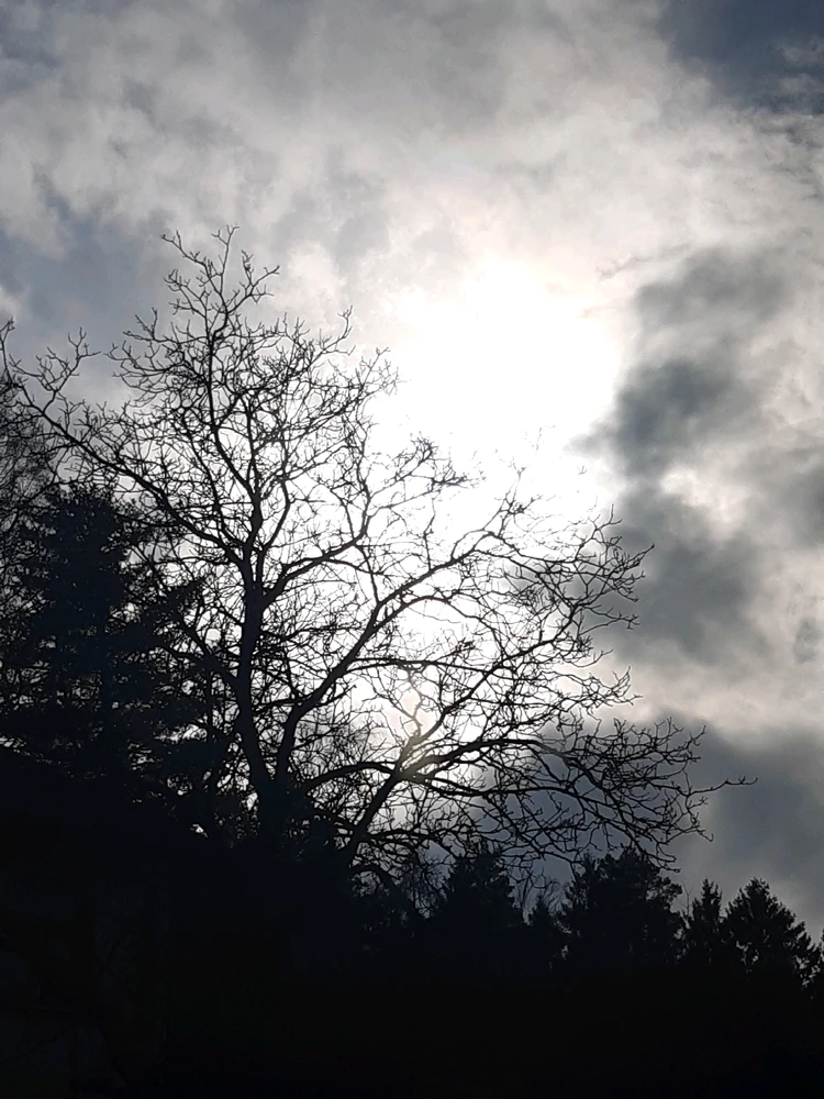 GIF nahrál ©️Iva 🦉