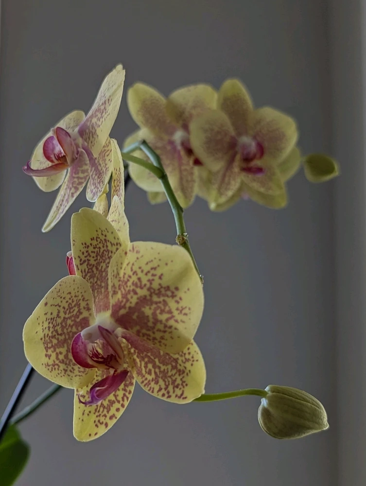 Image uploaded by Lynne