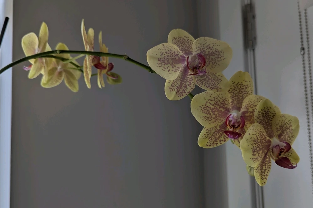 Image uploaded by Lynne