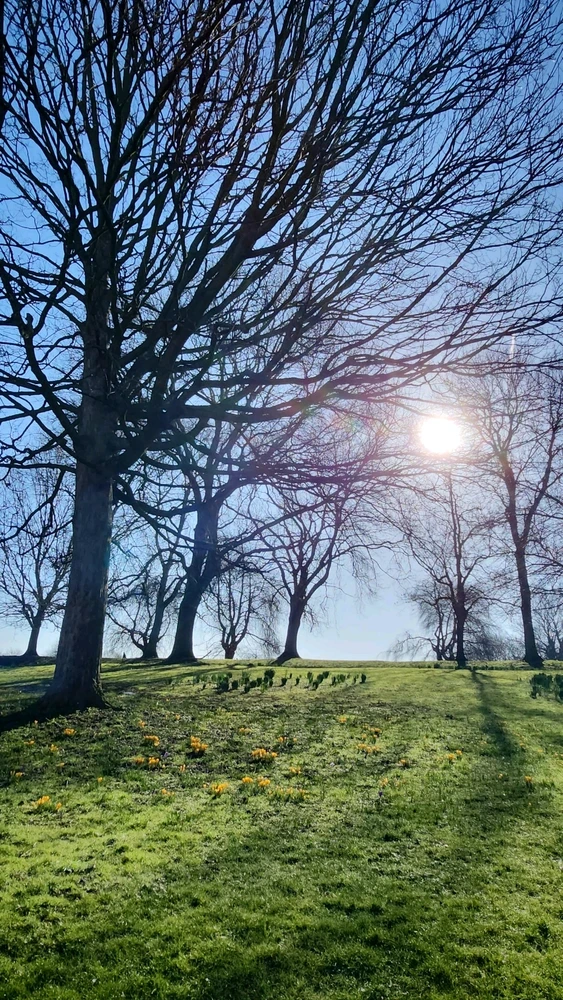 Image uploaded by DJ