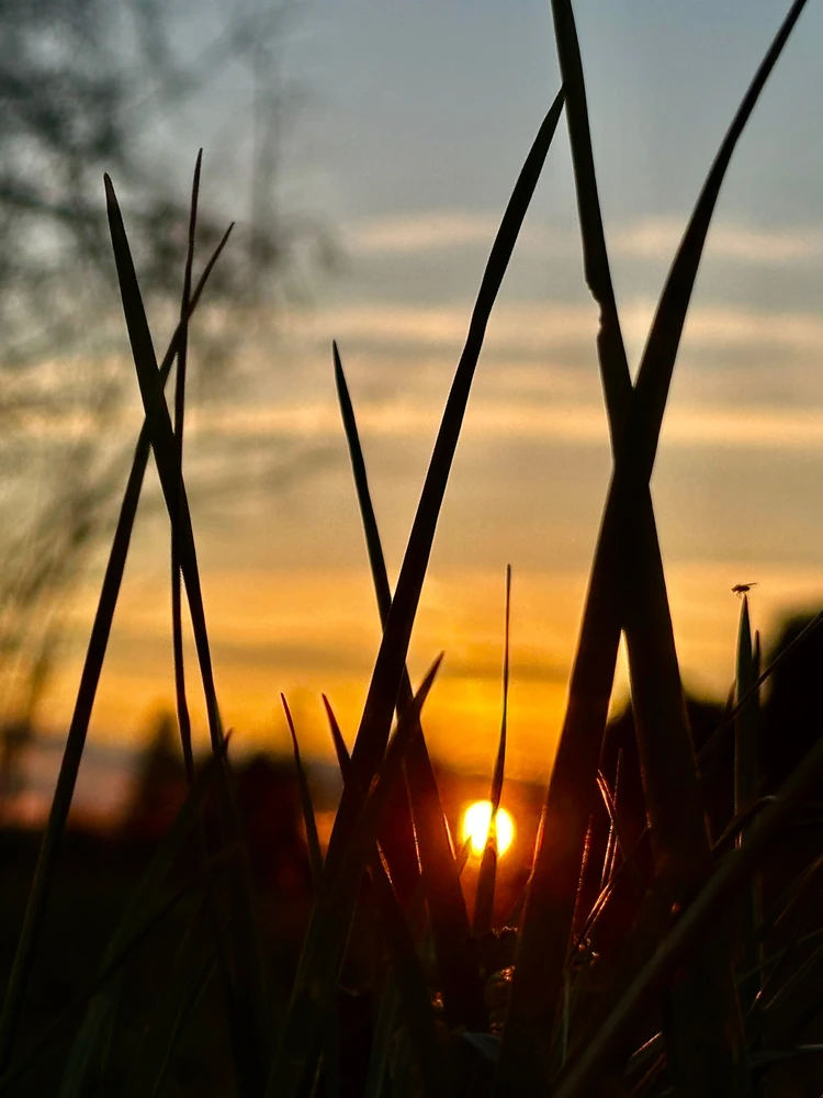 Mona által feltöltött kép