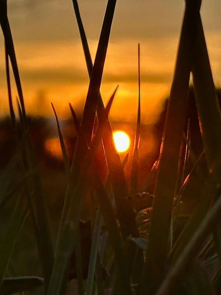 Mona által feltöltött kép