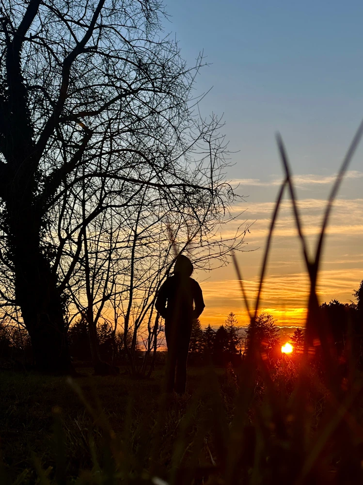 Mona által feltöltött kép