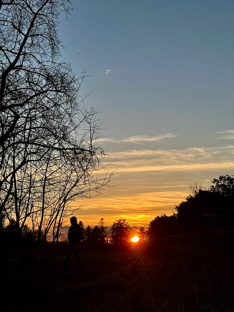 Mona által feltöltött kép