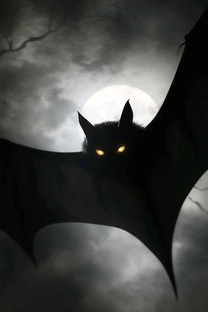 Гіфку завантажив Natalia🦇