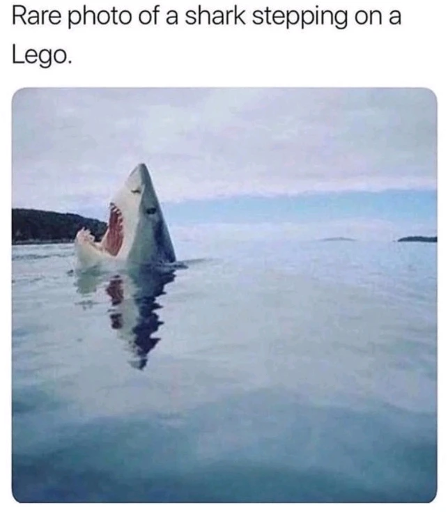 GIF uploaded by Aviv