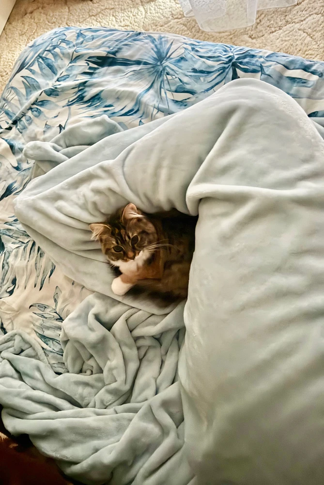 GIF uploaded by Shan