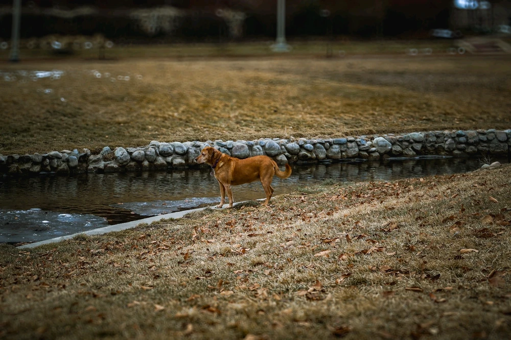 GIF uploaded by Aubrey