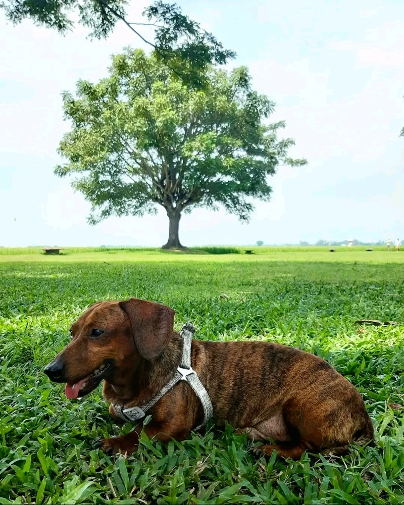 GIF uploaded by Azuralynn