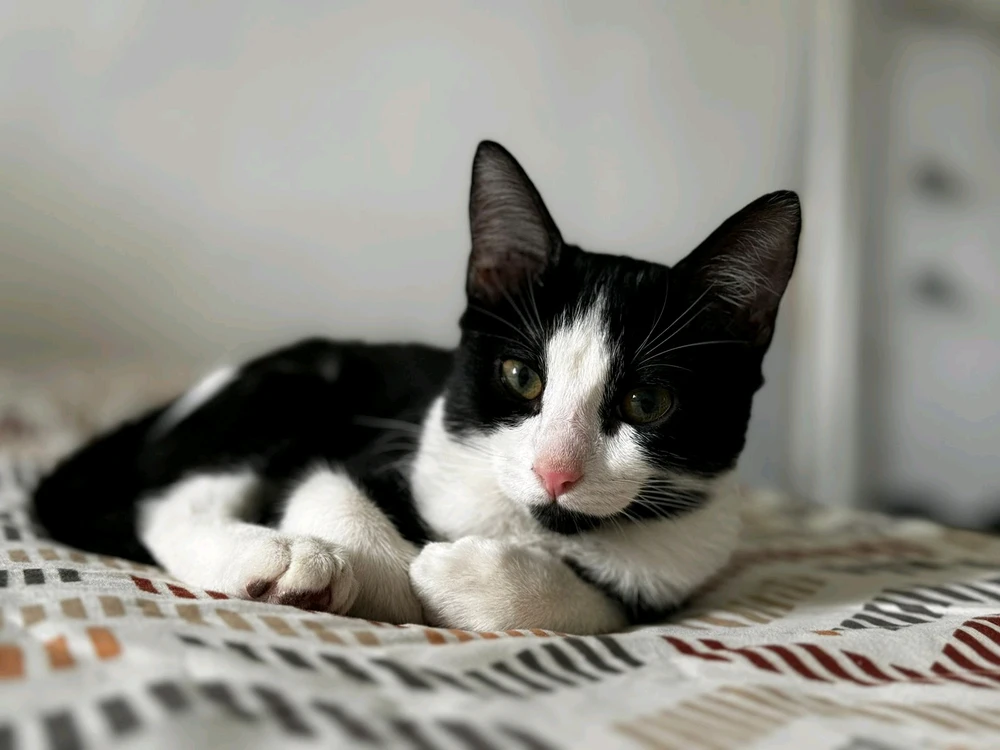 Imagen subida por Rafita