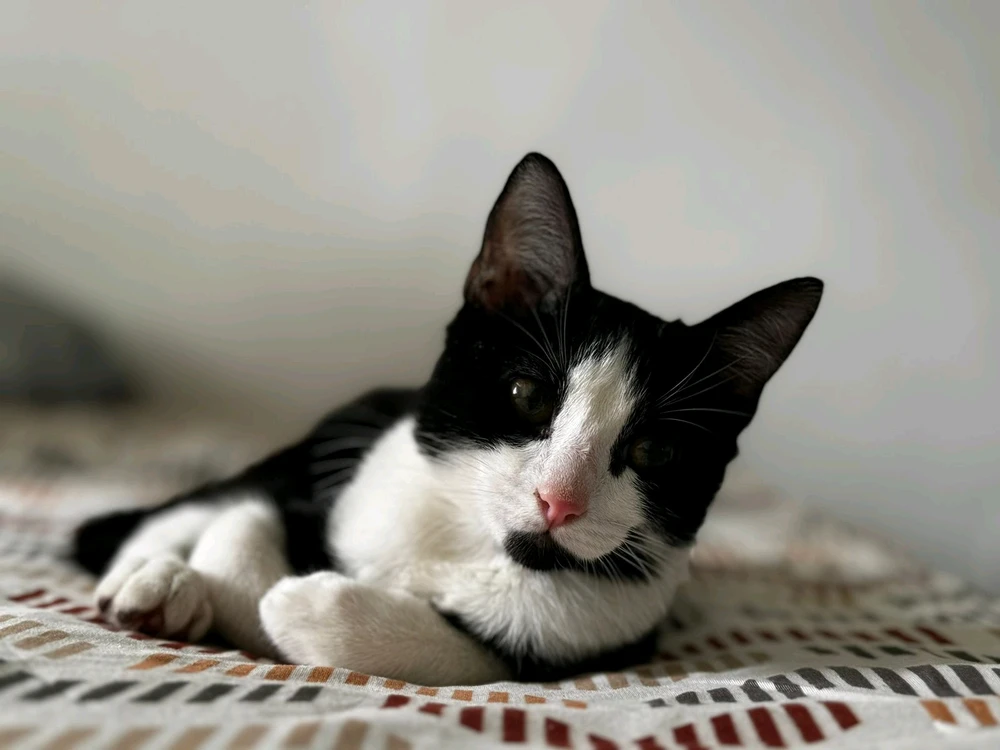 Imagen subida por Rafita