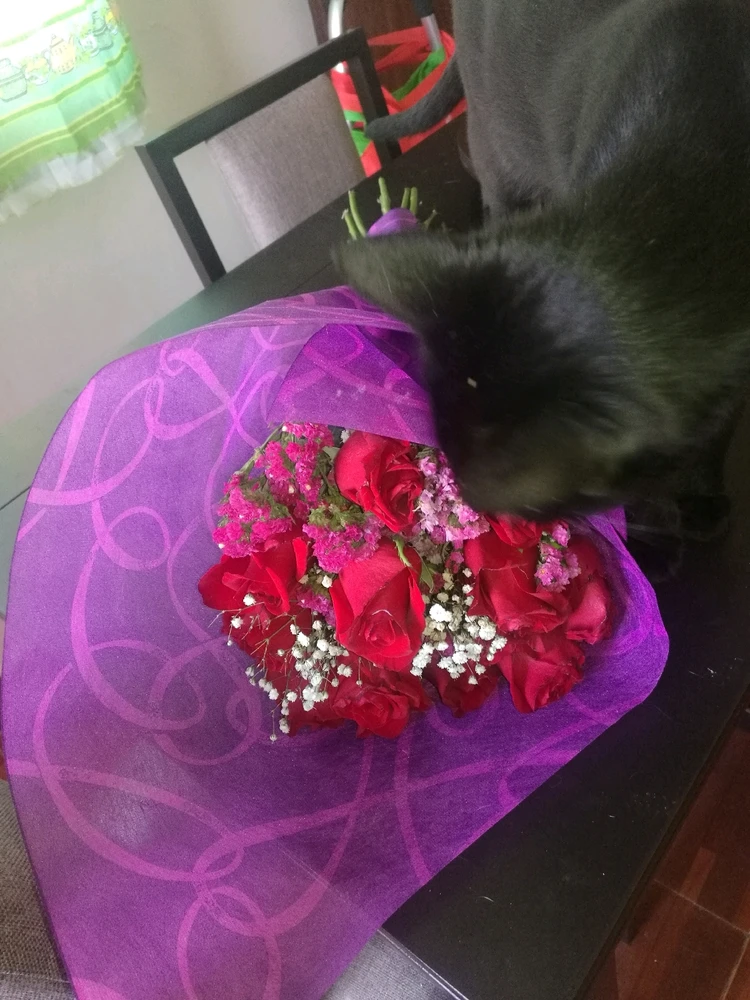 GIF uploaded by ❤ Sophia aka Mango Mami ❤️