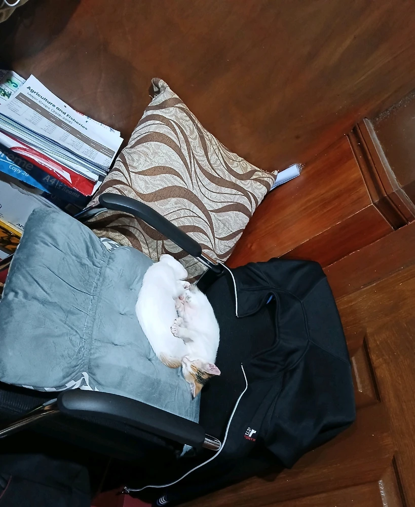 GIF uploaded by Dragoness