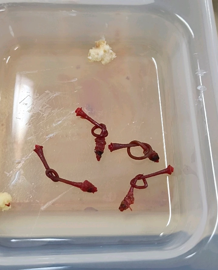 GIF subido por May Cruz Reyes