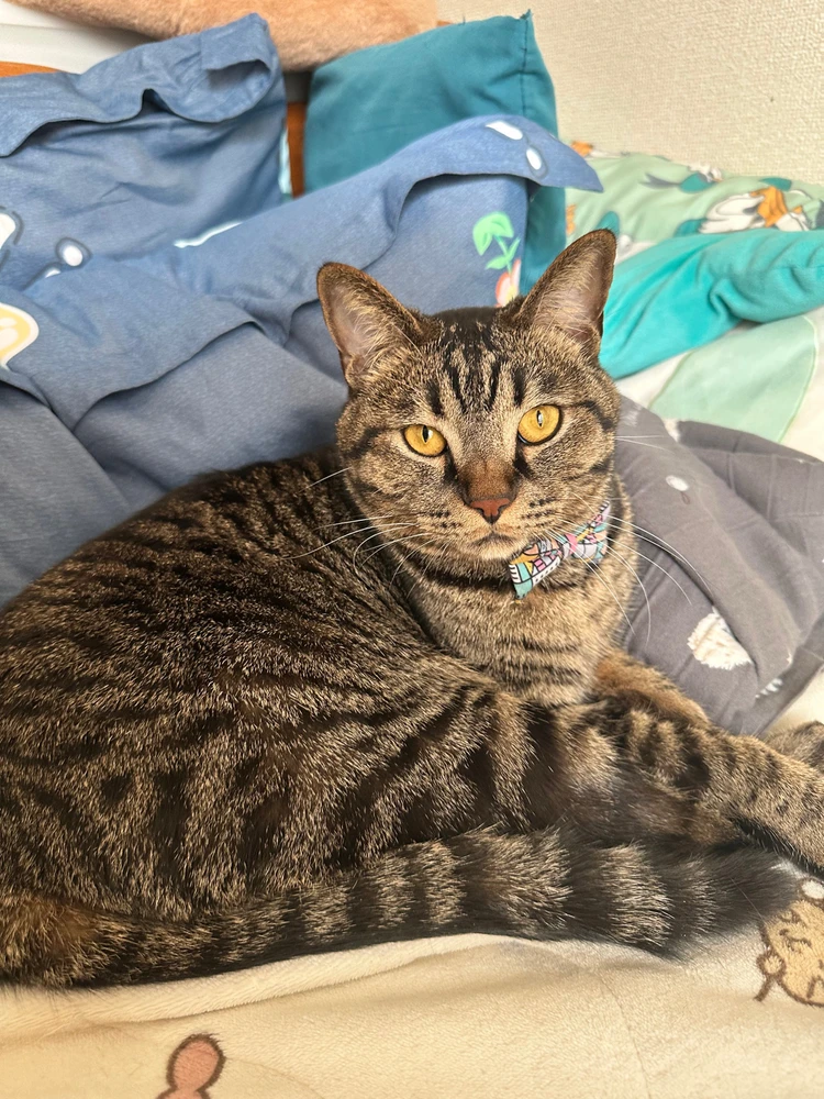 IrethティアがアップロードしたGIF