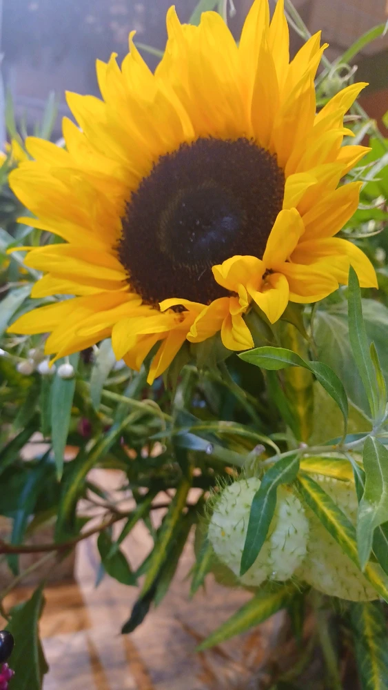 Image uploaded by Beee