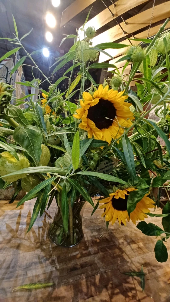 Image uploaded by Beee