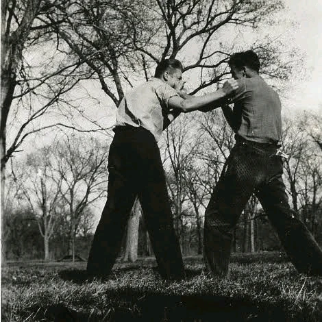 Ballad of the Costa Concordia