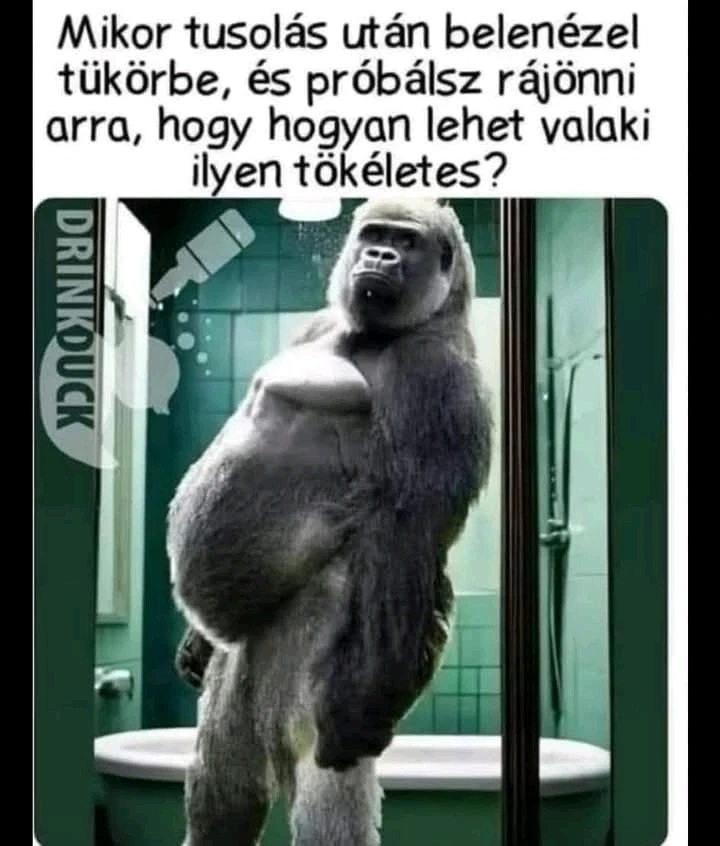 István által feltöltött GIF