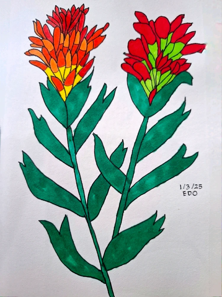 Image uploaded by Edo