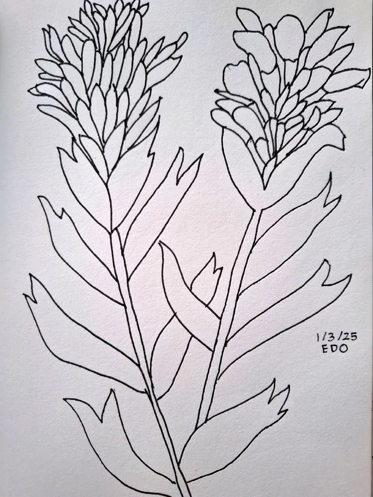 Image uploaded by Edo