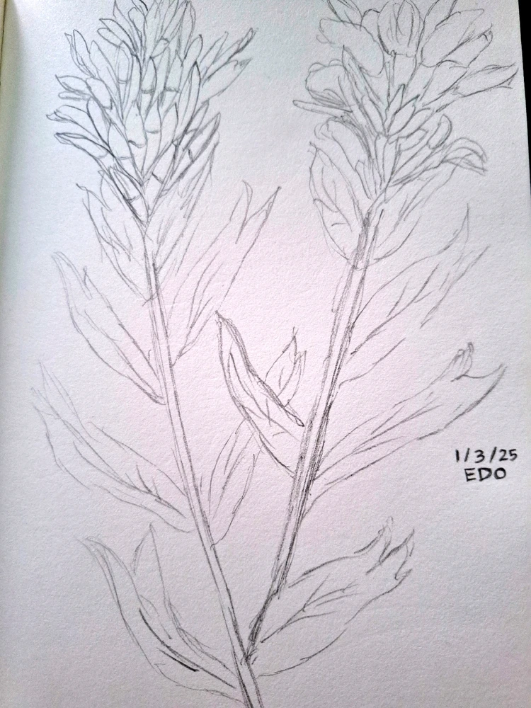 Image uploaded by Edo