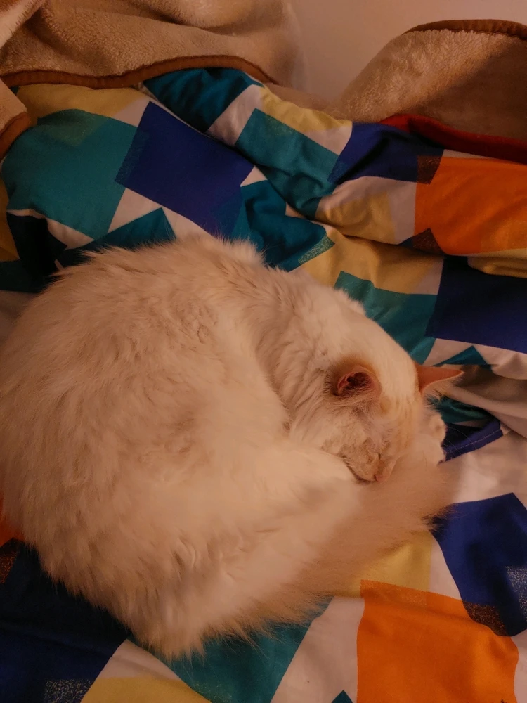 GIF subido por Juan David