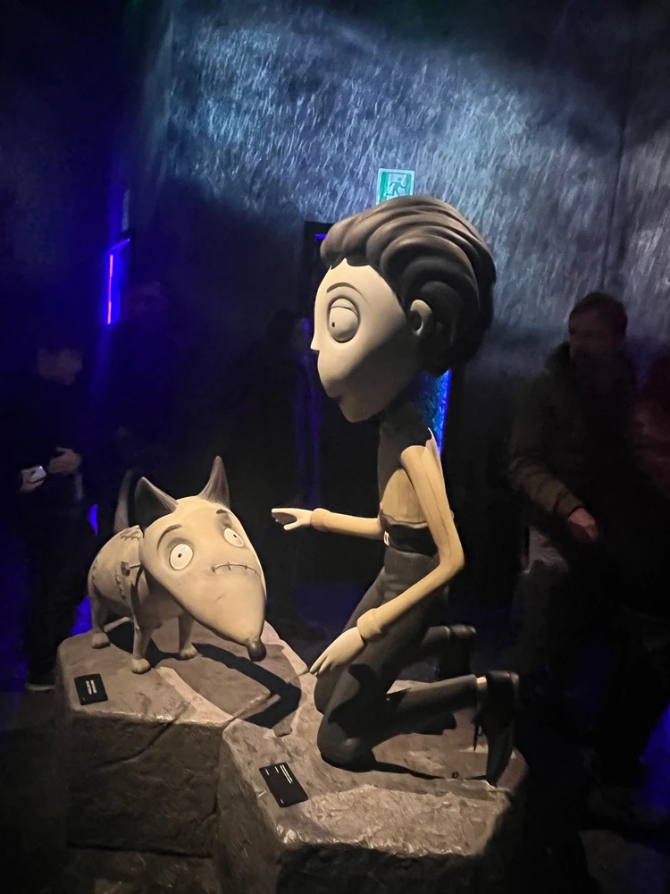 Immagine caricata da Anto