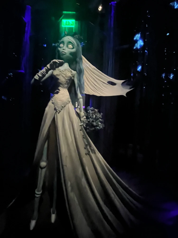 Immagine caricata da Anto