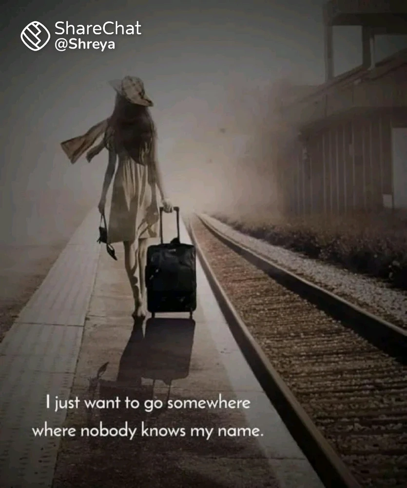 David பதிவேற்றிய GIF