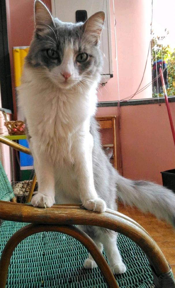 GIF uploaded by Aquarius®