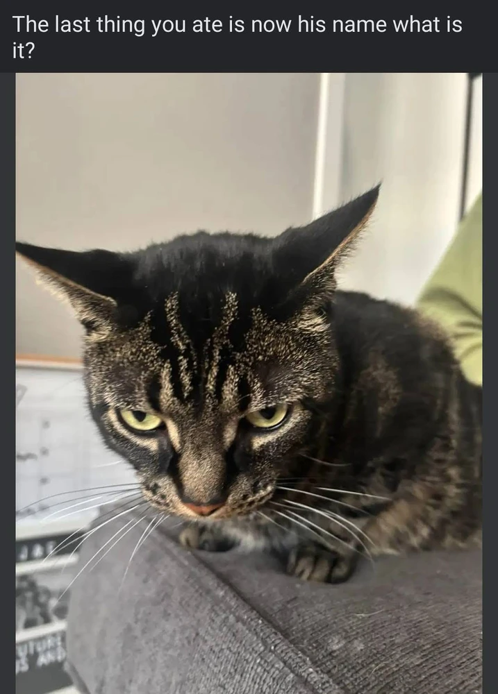 GIF uploaded by M̷̷A̷̷R̷̷I̷̷A̷̷ ̷A̷̷N̷̷G̷̷E̷̷ ̷🖤